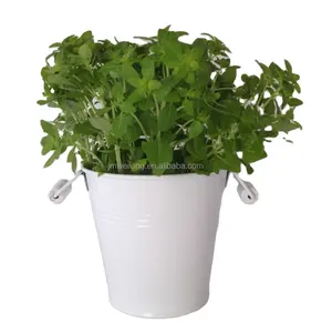 Multi-use bucket plant pot handles ,indoor pots for plants