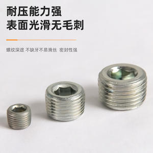NPT/Z Metric/Imperial ED Rubber Gasket Sealing Plug Carbon Steel <b>Thread</b> <b>Insert</b> for Oil Plug - Product Image 5