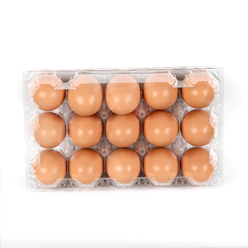 HST Wholesale Model-Egg Tray Transparent Recycled Pet Plastic 15 holes Egg Tray Quality Egg Container