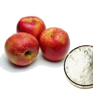 Fornecedor de fábrica apple extrato, procyanidine b2, ingredientes de polifenóis