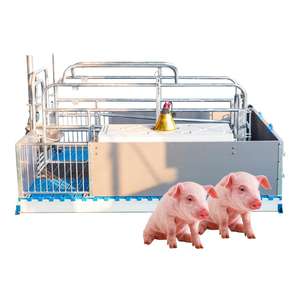 อุปกรณ์ฟาร์มสุกรคุณภาพสูงสไตล์ยุโรป ปี 2026 ระบบคอกคลอดลูกสุกร คอกคลอดสุกร - Product Image 4