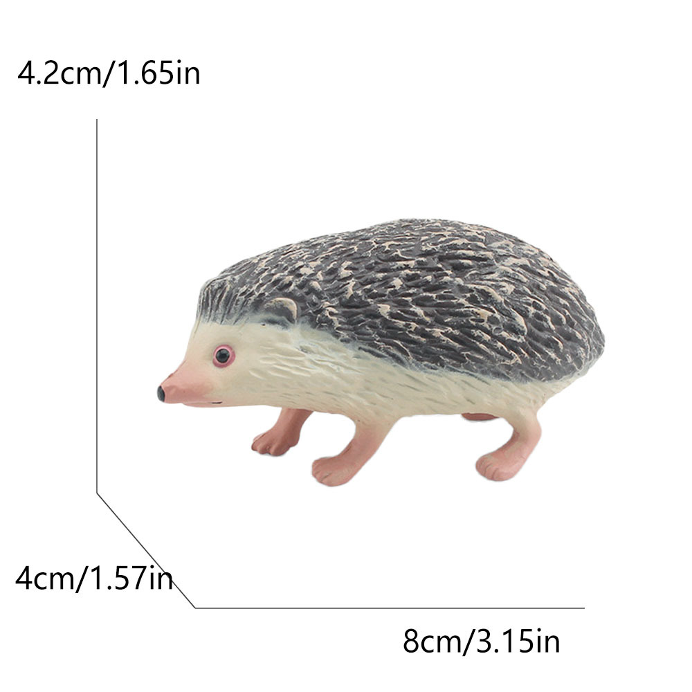 2948 hérisson à quatre doigts marchant - 678g