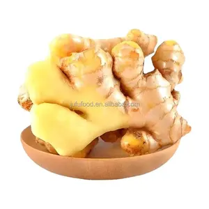 chinese mature super ginger extract/Mesh Bag Ginger