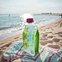Sachet réutilisable de 250ml 350ml 500ml pour boissons gazeuses et jus Sachet liquide debout avec bec verseur Sac en plastique pour eau minérale Sachet De Jus