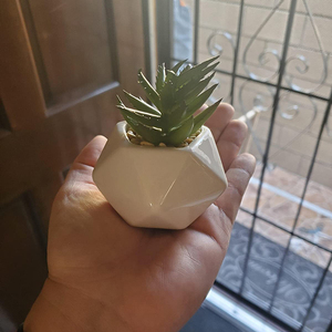 Nuevo diseño de oro rosa geométrica cerámica pote de flor planta suculenta olla artificial planta olla de oro - Product Image 3