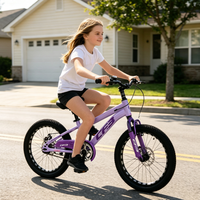 Vélo pour enfants de 16, 18, 20 et 22 pouces en acier haute teneur en carbone, disponible en rose, violet, bleu, gris et noir, pour garçons et filles