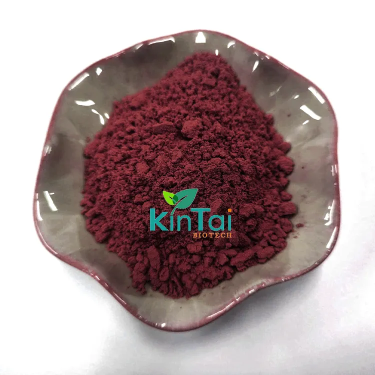 Harga pabrik ekstrak Cranberry bubuk Powder 25% Powder