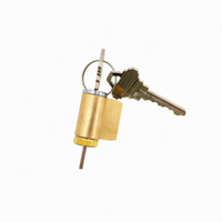 Cylindre de serrure de porte d'armoire en laiton satiné durable, en laiton massif, avec clé en acier, pour accessoires de quincaillerie d'armoires de contrôle – Vente directe usine