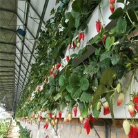 Haute qualité Vertical Pvc Nft Gouttière Système Fraise Gouttière Serre Hydroponique Plantation Gouttière Pour La Culture De Légumes
