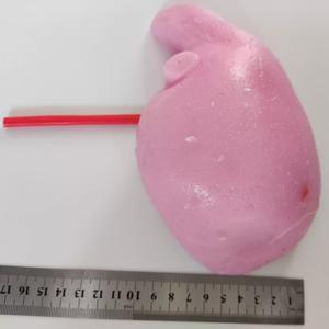 KyrenMed Modelo Treinamento Fígado Humano Silicone Modelo Prática Cirurgia Hepática para Prática Cirurgia Hepática - Product Image 4