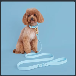 Conjunto de <span class=keywords><strong>collar</strong></span> y correa para perro PVC impermeable suave ajustable con eliminación de desechos de caca logotipo personalizado Placa de nombre conjunto de <span class=keywords><strong>collar</strong></span> para mascotas - Product Image 6
