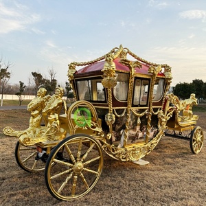 Carruaje de princesa de estilo europeo de fantasía, carruaje tirado por Caballos Reales, carruaje turístico para Parque de cuentos para padres e hijos - Product Image 5