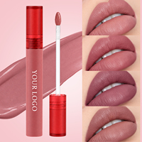 Gloss à lèvres velours hydratant, éclat doux, antioxydant, résistant à la décoloration, teinte à lèvres végane, gloss professionnel pour maquilleurs et salons