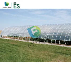 Customized PO Film Covering Material Single Span Greenhouse For Agriculture