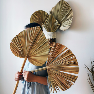 Decoraciones nórdicas para bodas, arreglos florales para paisajismo, hojas de <span class=keywords><strong>palma</strong></span> grandes secas al aire, adornos de hojas de <span class=keywords><strong>girasol</strong></span>, abanico de flores secas - Product Image 3