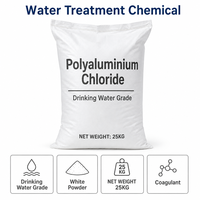 Chlorure de polyaluminium (PAC) en poudre blanche à 30 % pour la clarification de l'eau potable
