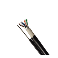Kabel LAN FTP Shielded Cat5 dengan Jaket Ganda PVC Konduktor Padat Panjang 305m 8 Konduktor