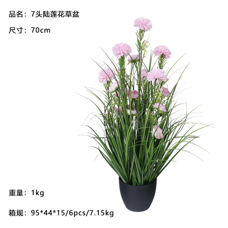 70cm pot with 7 heads of celestial lotus