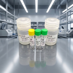 Kit d'extraction d'<span class=keywords><strong>ADN</strong></span> génétique à haut rendement pour tissus et cellules animales, manuel et automatisé BA4003 - Product Image 3