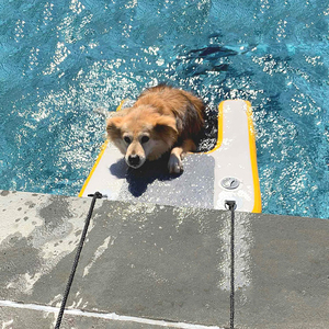 Rampa Inflable para <span class=keywords><strong>Perros</strong></span>, Plataforma Flotante para <span class=keywords><strong>Perros</strong></span>, para Piscinas, Lagos y Playas - Product Image 4