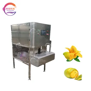Ticari turuncu soyucu Mango cilt sökücü makinesi kivi limon soyma makinesi