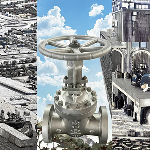 Vanne à opercule JITAI API JIS en acier inoxydable 304/316L, à bride, grand diamètre, ANSI, à joint rigide, manuelle, pour eau, 300LB, garantie 1 an, moyenne pression - Product Image 3