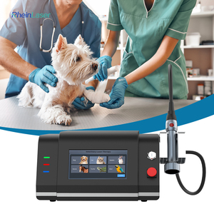 Effektives Schmerzmanagement für Haustiere Physiotherapie Klasse IV Lasertherapiegerät für Tierkliniken - Product Image 3