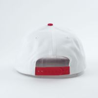 Gorra de Béisbol Unisex con Diseño Nuevo, Bordado de Letras Oxford con Estampado de Leopardo, Gorra de Moda para Exteriores con Cierre a Presión, Visera Curva de Dos Tonos Personalizada
