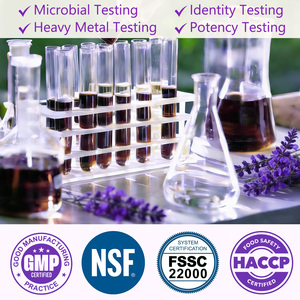 Acentiallabs 1000 mg Suppléments de Capuchon de l'Huître en Gouttes Liquides Orales Extrait Végétal <span class=keywords><strong>Sans</strong></span> <span class=keywords><strong>Alcool</strong></span> <span class=keywords><strong>Sans</strong></span> Sucre Teinture de Capuchon de l'Huître - Product Image 6