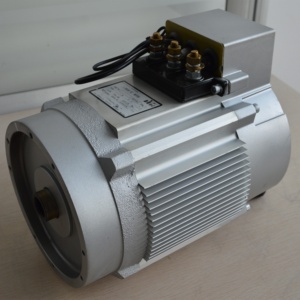 มอเตอร์ไฟฟ้ากระแสสลับ 48V 60V 72V 96V 108V 144V 312V 5KW สำหรับยานพาหนะและเรือทุกชนิด 48v 5kw มอเตอร์ไฟฟ้ากระแสสลับ 48v 48v 5kw - Product Image 6