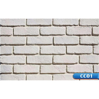 Briques artificielles Berich CC03, aspect brique fine, pour façade extérieure, briques rouges anciennes, placage