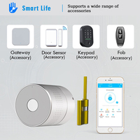 Cylindre de serrure intelligent sans clé à prix d'usine Tuya Ttlock avec contrôle d'accès à distance pour appartement, hôtel, chambre d'hôtes, location de vacances