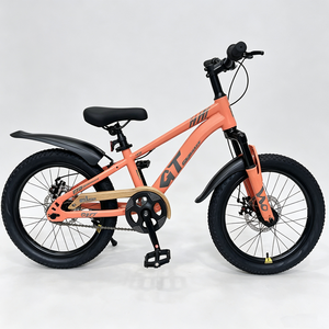 2026 Custom GT <b>Frame</b> Disc Children <b>MTB</b> for Boys Girls OEM Color Supported GIAOT-1011 Popular Products G - Product Image 2