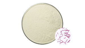 <span class=keywords><strong>Insen</strong></span> fournit une poudre de Bacillus Megaterium à haute teneur - Product Image 2