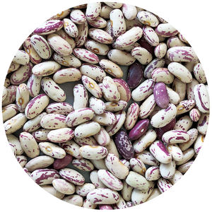 Precio a granel Nihewan Pinto <span class=keywords><strong>Beans</strong></span> Fagioli Cranberry Biologici Light Sparkle Frijoles de riñón - Product Image 1