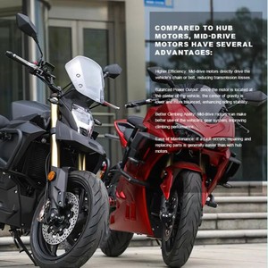 Motocicleta R3 Modelo S, Pit Bike, Potencia de 5000-8000W, Velocidad de 80 km/h, Exportación de China - Product Image 2