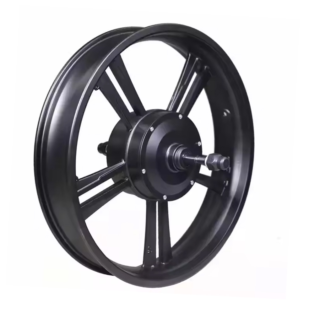 20 Inch Brushless Geared 48V 750W 1000W Ebike Hub Motor