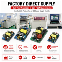Module d'alimentation à découpage AC-DC de qualité industrielle avec dissipateur thermique en aluminium et transformateur haute fréquence pour une sortie stable