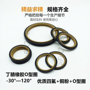 Joints d'étanchéité Lefu en PTFE pour cylindres hydrauliques, résistants aux hautes températures, pour l'étanchéité des trous, pièces standard - Product Image 2