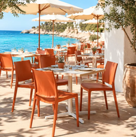 Chaises de salle à manger modernes en plastique, empilables, légères, robustes, colorées, avec dossier, pour salon, cuisine, table à manger