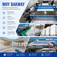 Panneau de toiture en polycarbonate alvéolaire transparent BAKWAY 4 mm, 6 mm, 8 mm, résistant aux UV, pour couverture de serre commerciale