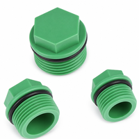 Bouchon de tuyau en plastique PPR 1/2" 3/4" à filetage BSP mâle, embout hexagonal avec joint torique en caoutchouc PN25 pour raccords de conduites d'eau