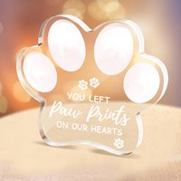 Recuerdos Decorativos de Acrílico Transparente Grabados y Personalizados de Fábrica para Perros y Gatos, para Dueños de Mascotas