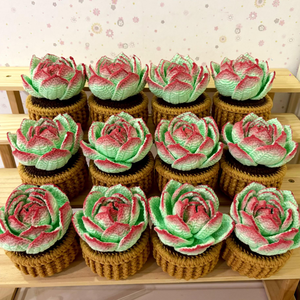 Maceta de Suculentas Tejida a Crochet, Linda y Hecha a Mano, Mini Planta Artificial de Alta Calidad para Decoración de Escritorio, Regalos para el Día de la Madre y de Inauguración de Casa - Product Image 3