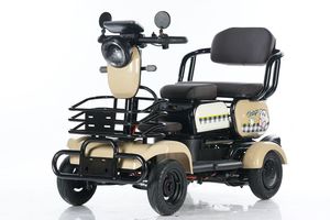 Tricycles électriques à haute puissance 48V 600W 20AH <span class=keywords><strong>2</strong></span> places à quatre roues pour adultes, tricycles électriques pour passagers et marchandises - Product Image 5