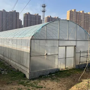 Pabrik murah rumah kaca isolasi Taman Rumah Kaca Cina Kit struktur Film bingkai logam besar rumah hijau