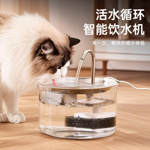 Fontaine à eau automatique en acier inoxydable pour chats, électrique, avec filtre et circulation, commerce électronique transfrontalier. - Product Image 1