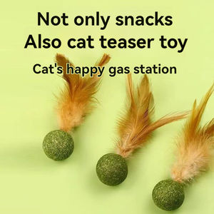 Jouets pour <span class=keywords><strong>chat</strong></span> à la menthe, best-seller, badminton pour <span class=keywords><strong>chat</strong></span>, divertissement personnel, soulagement <span class=keywords><strong>de</strong></span> <span class=keywords><strong>l</strong></span>'ennui, balle en <span class=keywords><strong>herbe</strong></span>, broyage des dents, bâton pour taquiner le <span class=keywords><strong>chat</strong></span> - Product Image 3