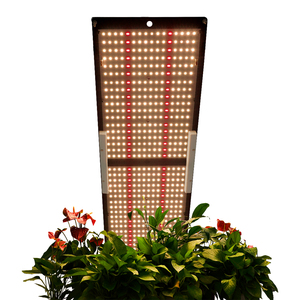 QB288 240W <span class=keywords><strong>LED</strong></span> <span class=keywords><strong>grow</strong></span> light board Samsung LM301h/ 301b uv ir 3000K 4000K lámparas de cultivo doméstico - Product Image 5