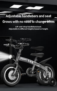 Vendita calda <span class=keywords><strong>bicicletta</strong></span> per bambini <span class=keywords><strong>con</strong></span> luci 2-8 anni ragazzi ragazze 12-16 pollici doppio disco freno di plastica cestello ruote di allenamento - Product Image 6